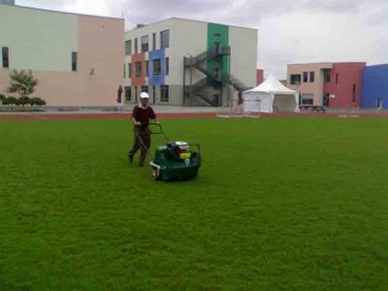 綠化養(yǎng)護(hù)